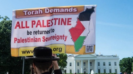 联合国安理会6年后谴责犹太复国主义定居点