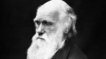 E' il Darwin Day, dedicato alla teoria dell'Evoluzione