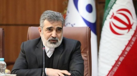 Kamalvandi: Deri tani nuk kemi pasuruar më shumë se 60%