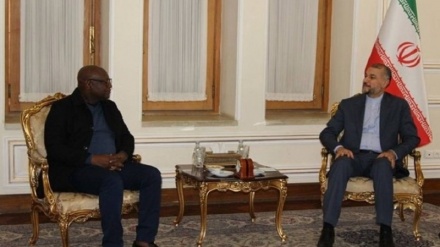  Foreign minister hails Iran-Guinea growing ties