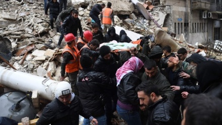 Inxhinierët organizatës 