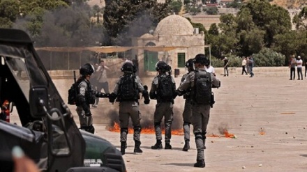 Сионист ҳарбийлар Фаластинлик мухбирларга овозли гранаталар ирғитди(видео)