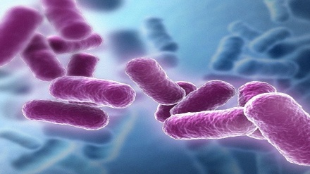 Onyo kuhusu ongezeko la vijasumu sugu (superbacteria)