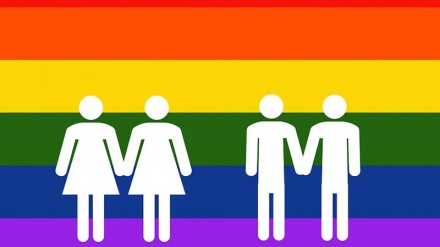 همجنس گرایی، مانع تشکیل خانواده و بقای نسل