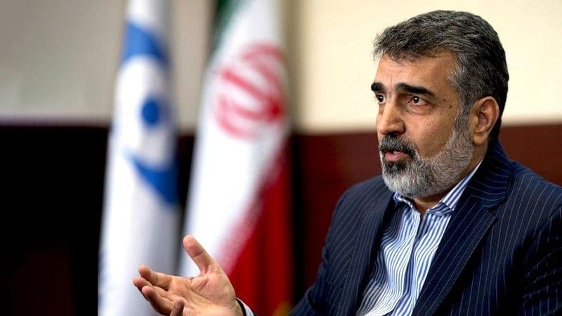 Behrouz Kamalvandi, Juru Bicara Badan Energi Atom Iran (AEOI)