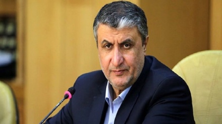 محمد اسلامی: آژانس اطلاعات برنامه هسته‌ای ایران را به مخالفان احیای توافق هسته‌ای می‌دهد