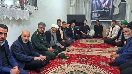 Заместитель командующего силами 