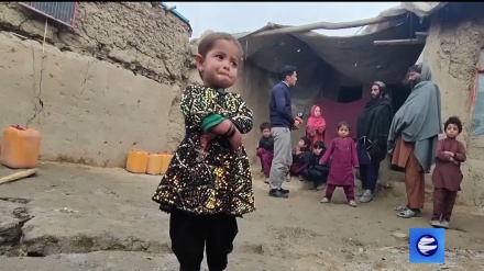 Гуманитарная ситуация в Афганистане ухудшается из-за холодной зимы