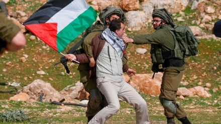 Сионистик режимнинг Наблосга ҳужуми бир неча шаҳодат ва ўнлаб яродорларга сабаб бўлди(видео)