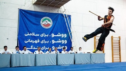 Liga Utama Wushu Putra Iran ke-16 