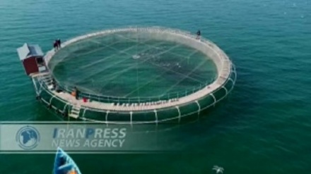 Eýranda iň uly göçürilýän balyk köpeltmek kafesi