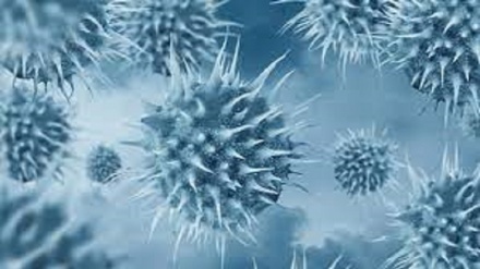 La diffusione dei casi di norovirus negli Stati Uniti