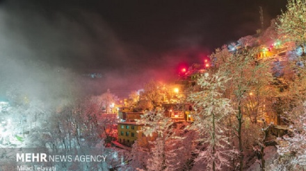 Tolışi voa dəqətə Masulə diyor
