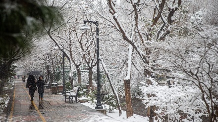 Bulan Kedua Musim Dingin, Salju Turun Lebat di Tehran (5)