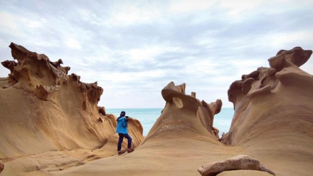 Brigjet Makser në limanin Magham