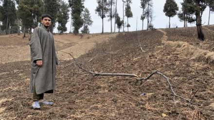 अतिक्रमण हटाओ अभियान पर जम्मू व कश्मीर प्रशासन अडिग, राजनैतिक दलों ने जताया एतेराज़