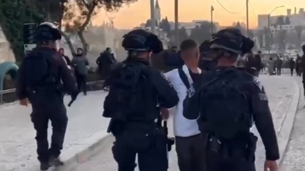Polisi Zionis Tangkap Seorang Bocah Palestina
