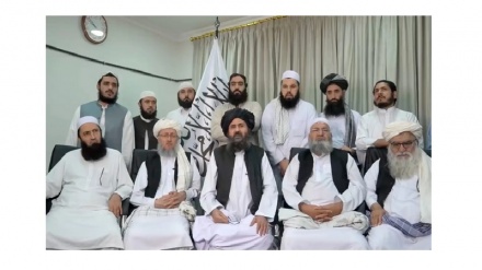 درخواست طالبان از شورای امنیت