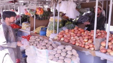 لغو برگه انتقال میوه و سبزیجات از سوی وزارت مالیه طالبان
