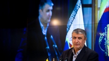 رئیس سازمان انرژی اتمی ایران: به دنبال صادرات محصولات هسته‌ای هستیم