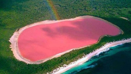 laguna e Liparit; liqeni rozë i Iranit