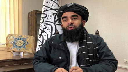 مجاهد: مقامات طالبان در حال گفتگو بر سر حقابه ایران از هیرمند هستند