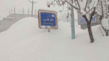 گزارش تصویری از بارش برف زیاد در کوهرنگ