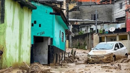 巴西圣保罗州暴雨成灾 至少36人死亡