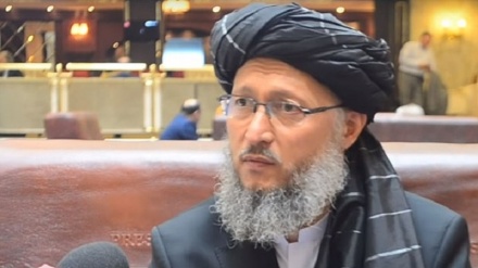 عبدالسلام حنفی: جامعه جهانی، با طالبان گفتگو کند