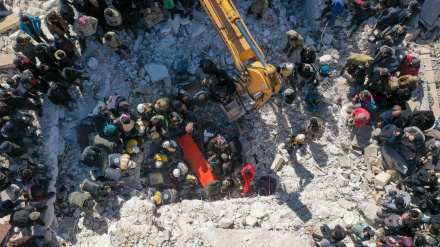 WHO、「シリアが国境検問所増設に前向き、被災者支援へ」