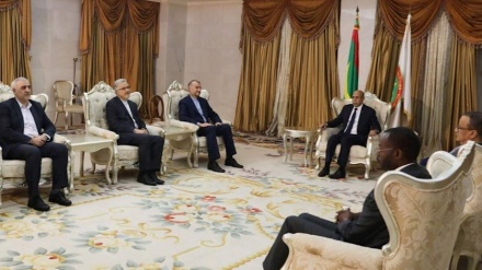 Iran to support efforts for security of Africa: FM