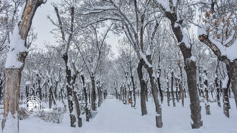   آیین قدیمی برفی کردن در ایران از دیرباز همزمان با بارش نخستین برف  یادآور بشارت آبسالی بوده است
