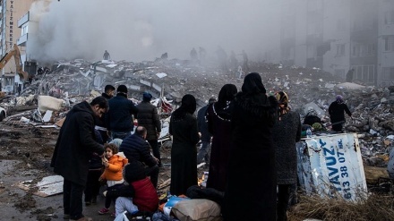 Më shumë se 13 milionë qytetarë turq u prekën nga tërmeti