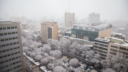 Bulan Kedua Musim Dingin, Salju Turun Lebat di Tehran (4)