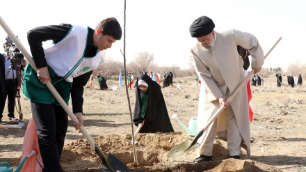 Fillon fushata për mbjelljen e një miliardë pemëve në Iran