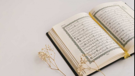 Let's Recite the Quran (1555)
