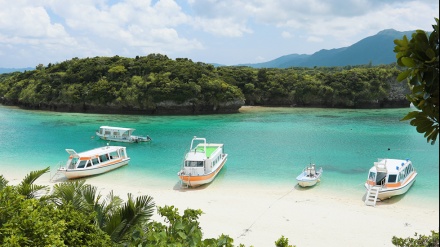 沖縄石垣島に陸自駐屯地開設、玉城知事「十分な住民合意ない」