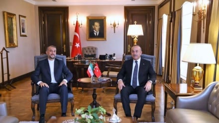 क्षेत्र में इस्राईल की उपस्थिति एक बड़ा ख़तरा है, ईरानी विदेश मंत्री