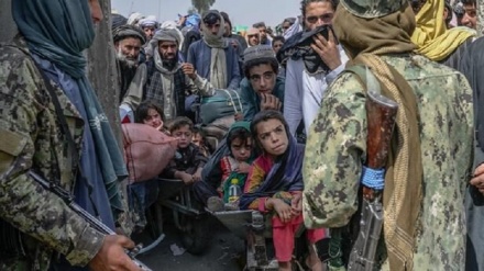 هشدار نماینده سازمان ملل متحد درخصوص خطر قحطی در افغانستان 