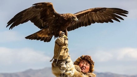 モンゴルの鷲狩猟；伝統保存で観光にも貢献
