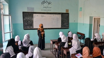  تاکید علمای کشورهای اسلامی بر حق آموزش دختران در افغانستان