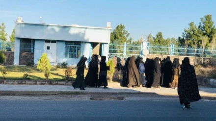 نگرانی از کاهش 50 درصدی دانشجوها در دانشگاه های خصوصی هرات‎‎