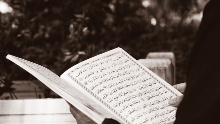 Let's Recite the Quran (1553)
