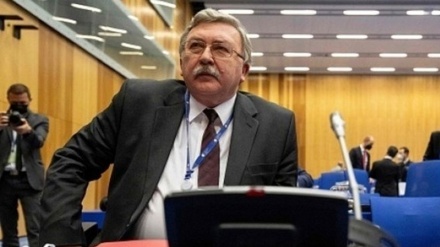 Ульянов: Есть возможность завершить переговоры в Вене