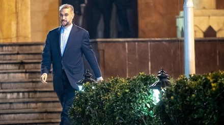 Amir Abdollahian:  Gjermanët a e pranojnë që sot djali i Hitlerit të bëhet kancelar?