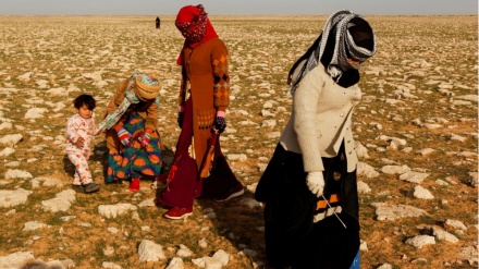  Daesh terrorists behead 15 truffle hunters in Syria, 40 missing 