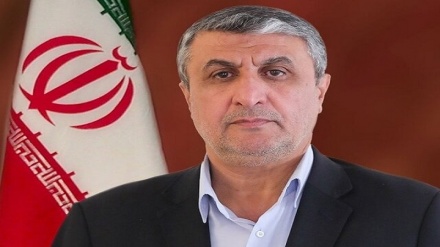 د یمن خلکو د مظلومیت پیغام رسول د هر چا دنده ده