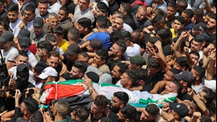今年に入ってから、早くもパレスチナ人84人が殉教