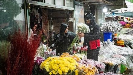 Tahun Baru HS, Pasar Bunga di Iran Ramai Pembeli (1)