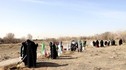 Target 1 Miliar Pohon, Warga Iran Ramai-Ramai Tanam Bibit Pohon